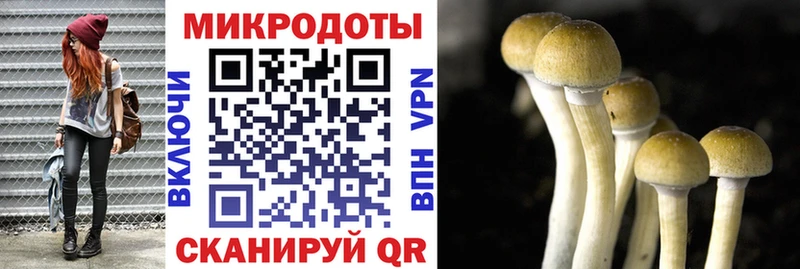 Галлюциногенные грибы Cubensis Переславль-Залесский